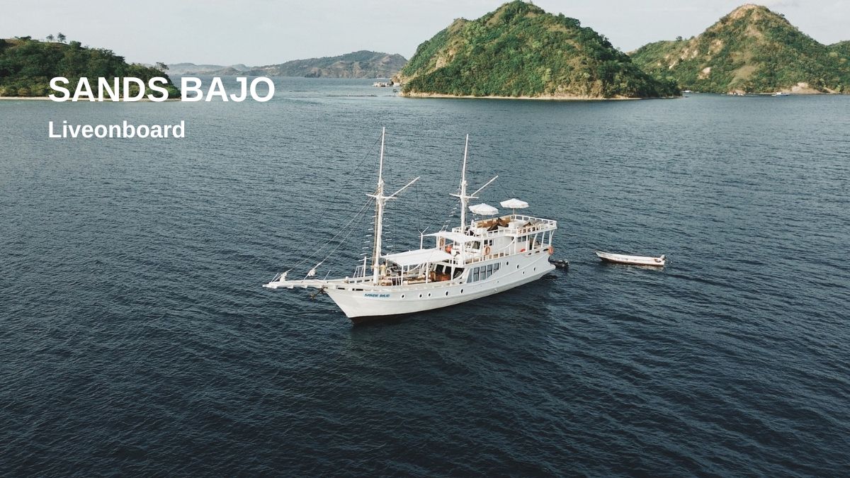 Experience a Great Vacation at Flores Sea